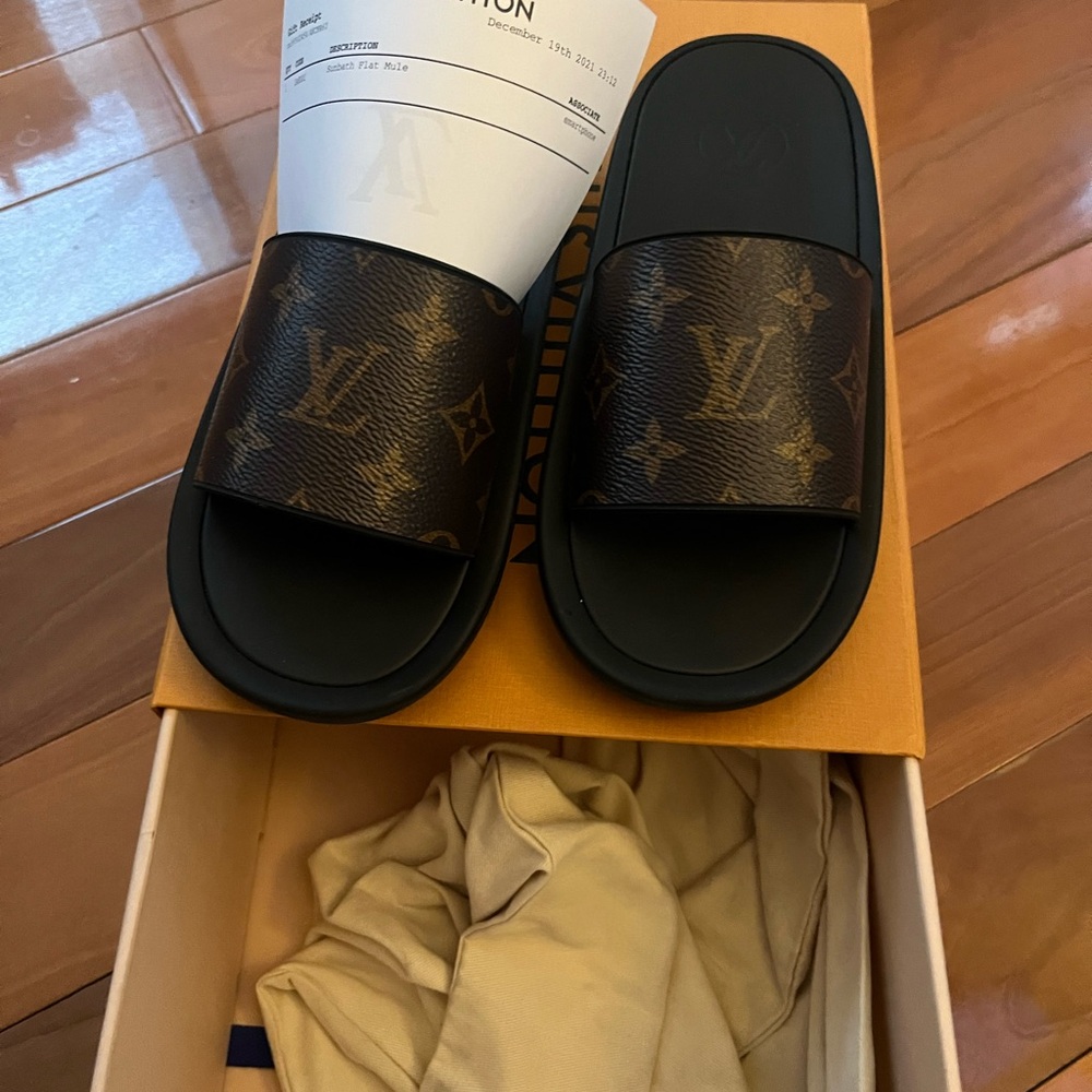 Louis Vuitton woman Black and Brown Slides